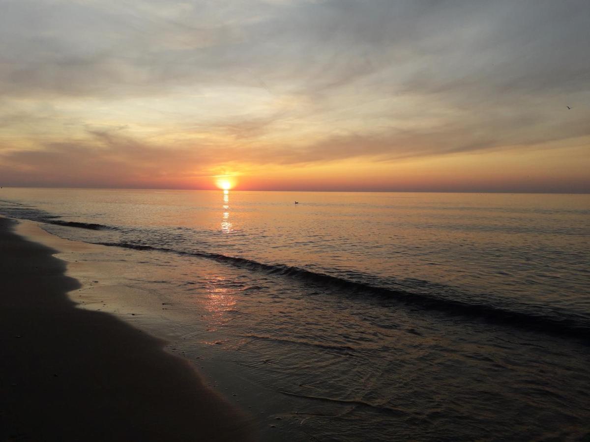 Domki Gama Gąski Exteriér fotografie